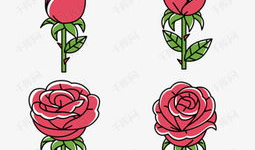 动漫玫瑰,动漫中的浪漫传奇